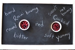 Comparing and Contrasting Cranberries