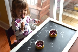 Comparing and Contrasting Cranberries