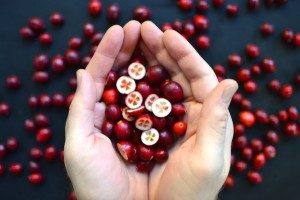 Cranberry Float or Sink Experiment